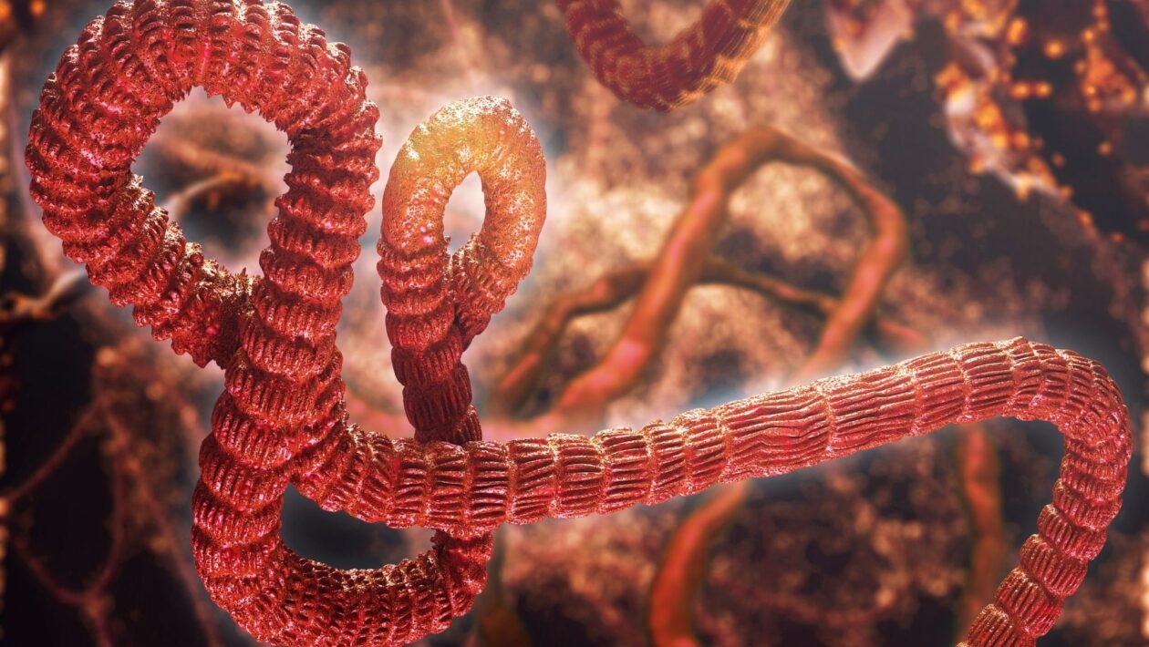 Sintomas do Ebola podem surgir até 21 dias depois. (Foto: Getty Images via Canva)