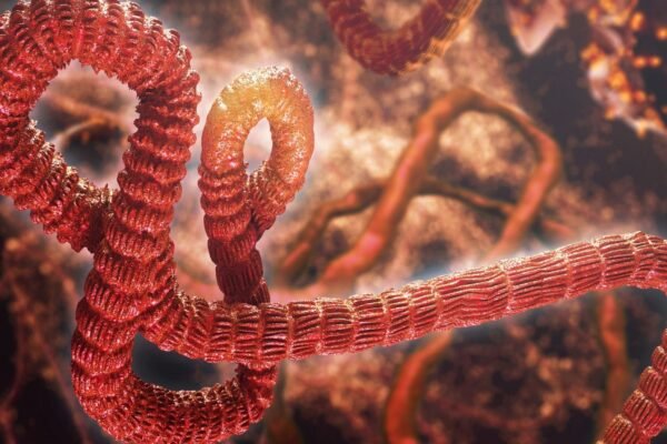 Sintomas do Ebola podem surgir até 21 dias depois. (Foto: Getty Images via Canva)